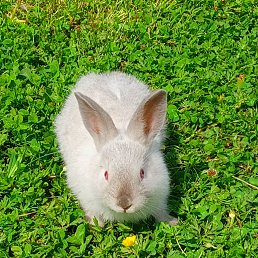 ���� �����, ������, 24 ���� - ��������� 9 ������� 2023