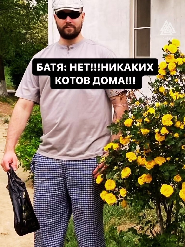        ,  