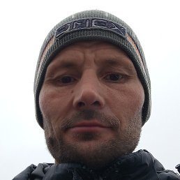 ����, ������, 40 ���