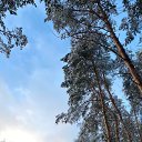 ���� �������, ��������, 60 ��� - ��������� 26 ������ 2025 � ������ ���� ����������