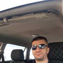���� ���, �����������, 43 ���� - ��������� 25 ����� 2024