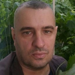 �����, ������, 46 ���