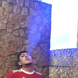 , 35, 