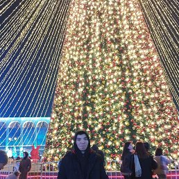 , 24, 