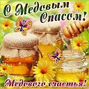���� ��������, ������, 84 ���� - ��������� 1 ��� 2026 � ������ ������ ��������