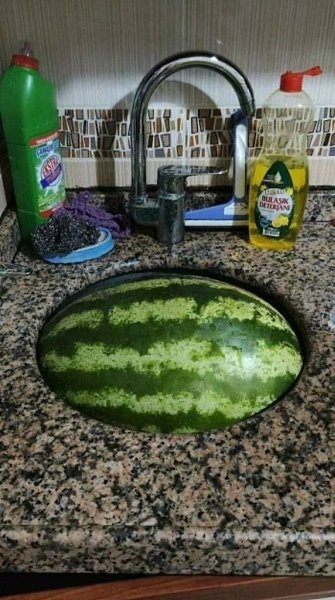 ��� ������ ������ �������