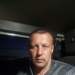 ����, 41 ���, ������