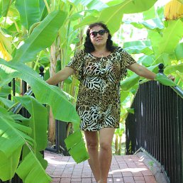 ���� �������, �������, 51 ��� - ��������� 13 ������ 2023