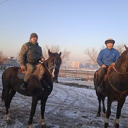 �����, ������, 40 ���