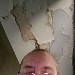 ������, 49 ���, ������ ��������