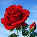 ���� �����, ����� - ��������� 15 ����� 2026