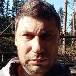 ����, �����, 43 ����