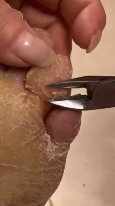 ������, �� ������ �� �������� �������, � �� ���������, ��� � ���� ����� - 2