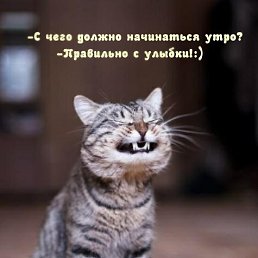 ���� ���������, ������ ��������, 53 ���� - ��������� 24 ����� 2026