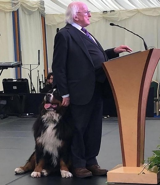 ��������� �������� ����� ������� �������� ����� �������������� � �������� ������������. ��� ������ ... - 5