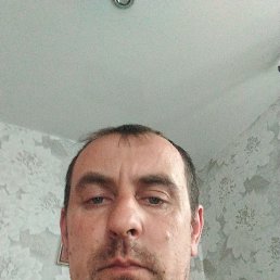 ����, 37 ���, �����������