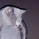 ���� ��������, ��������, 46 ��� - ��������� 4 ����� 2024 � ������ ������ ��������