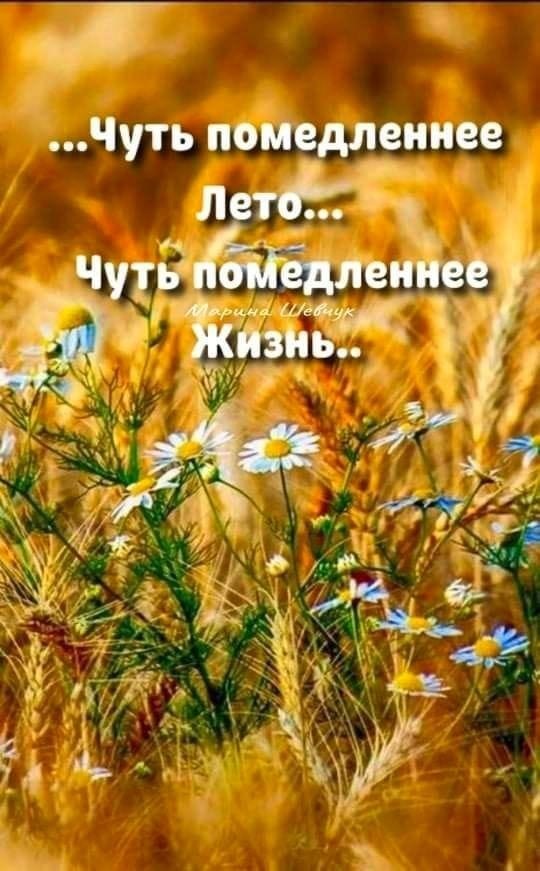    ,    .