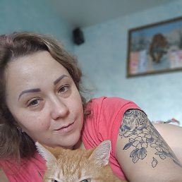 ����, ���������, 41 ���