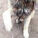 ���� ��������, ������, 53 ���� - ��������� 30 ������� 2023 � ������ ���� ����������