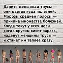 ���� Ws, �����������, 66 ��� - ��������� 8 ������� 2026 � ������ ���� ����������