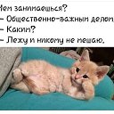 ���� ������, ������, 29 ��� - ��������� 18 ������ 2024