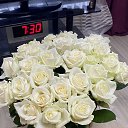 ���� �����, �����-���������, 61 ��� - ��������� 4 ������� 2025 � ������ ���� ����������