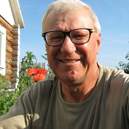 , 65, 