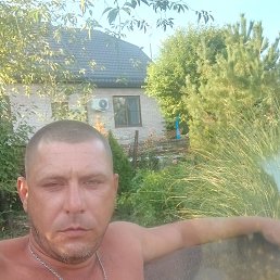 , 41, 
