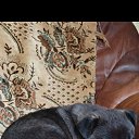 ���� ����, ������-��-����, 37 ��� - ��������� 16 ������� 2025 � ������ ���� ����������