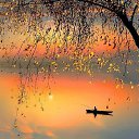  , -, 56  -  15  2024    