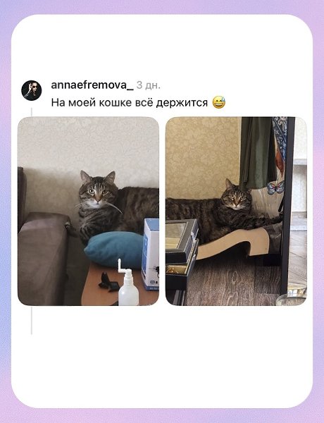 �������� ��������� ����� ���������� - 6