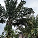 ���� ������, ����-��������� - ��������� 6 ��� 2025 � ������ ���� ����������