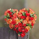 ���� Y, ������� - ��������� 14 �������� 2025 � ������ ���� ����������
