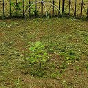 ���� ���������, �����, 67 ��� - ��������� 27 ���� 2025 � ������ ������ ��������