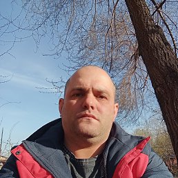 ���������, 38 ���, �����������