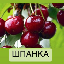 ���� ����� ��������, ������, 35 ��� - ��������� 24 ������� 2023