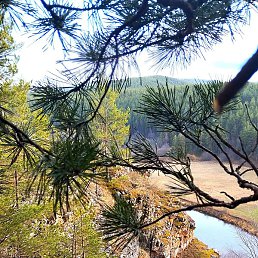 �������, ����-�����, 41 ���