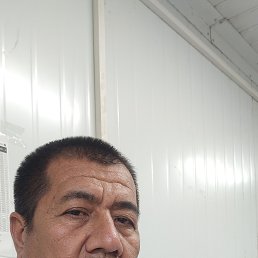 , 41, 