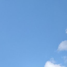 �������, ������, 39 ���