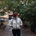 ���� ���������, �����-���������, 50 ��� - ��������� 31 ������� 2023 � ������ ���� ����������