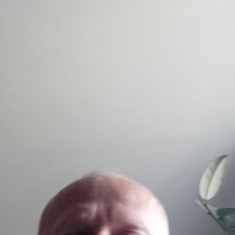 , 39, 
