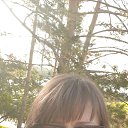 ���� ������, ��������, 37 ��� - ��������� 27 ������� 2023 � ������ ���� ����������