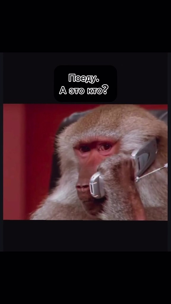 ������, � � ����! ���� ���������? - 2