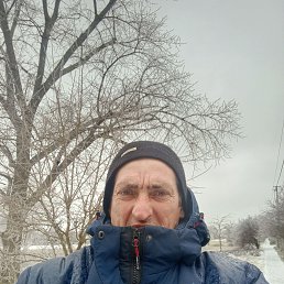 ������� �����, 43 ����, ����