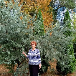 ���� ������, �������, 66 ��� - ��������� 20 �������� 2025