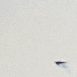 ��������, ����, 56 ���