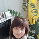 ���� ������, ��������������, 56 ��� - ��������� 23 ���� 2024 � ������ ���� ����������