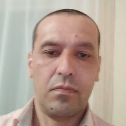 �����, �����������, 51 ���