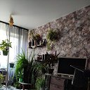 ���� ��������, ������, 51 ��� - ��������� 15 ������� 2025